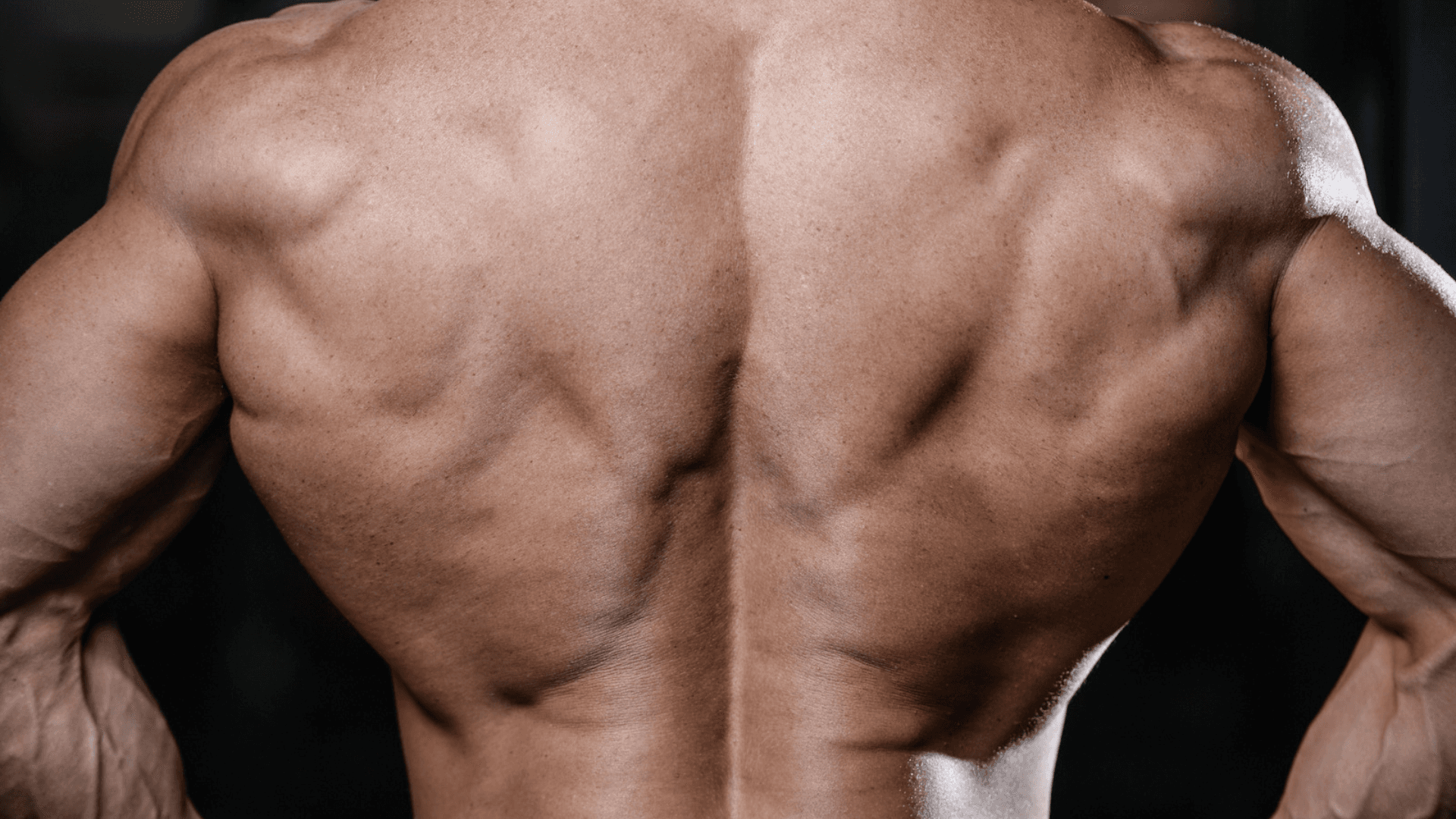 Scapular Control in Calisthenics: Why It Matters